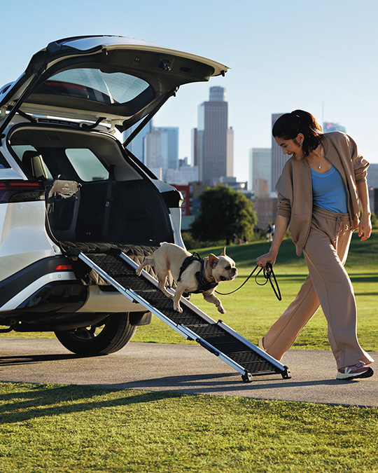 Dog walking down ramp of an INFINITI SUV