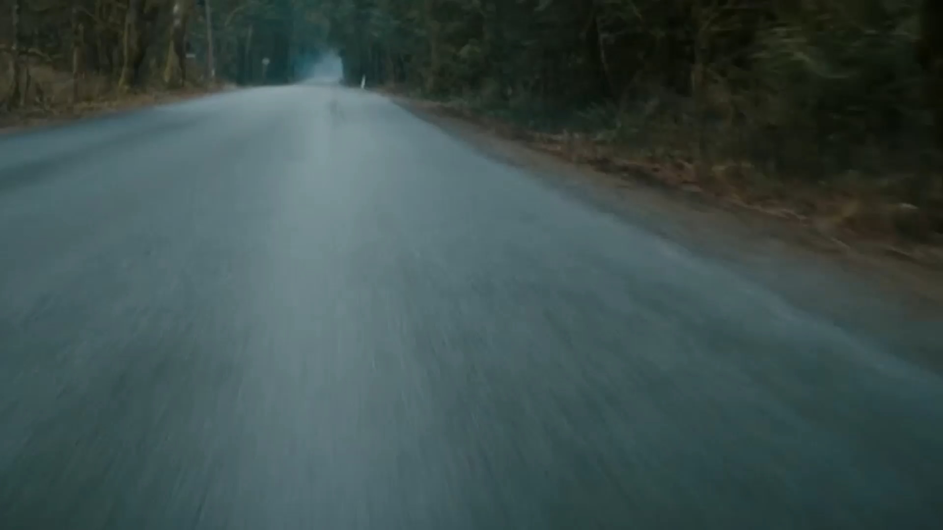 Driving shot through forested road