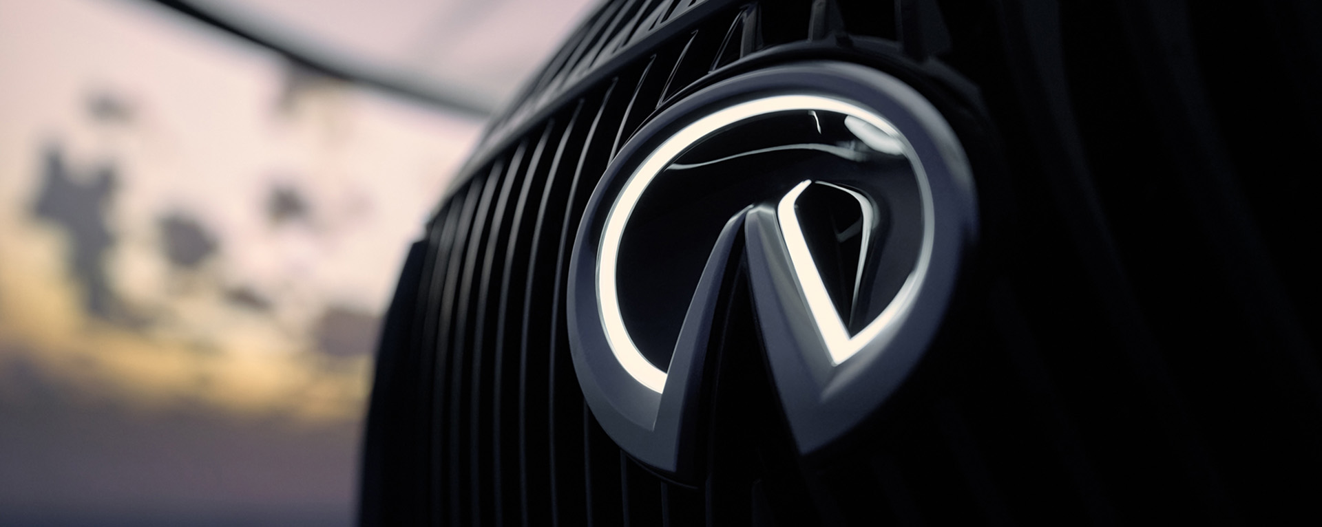 Parrilla frontal INFINITI QX80