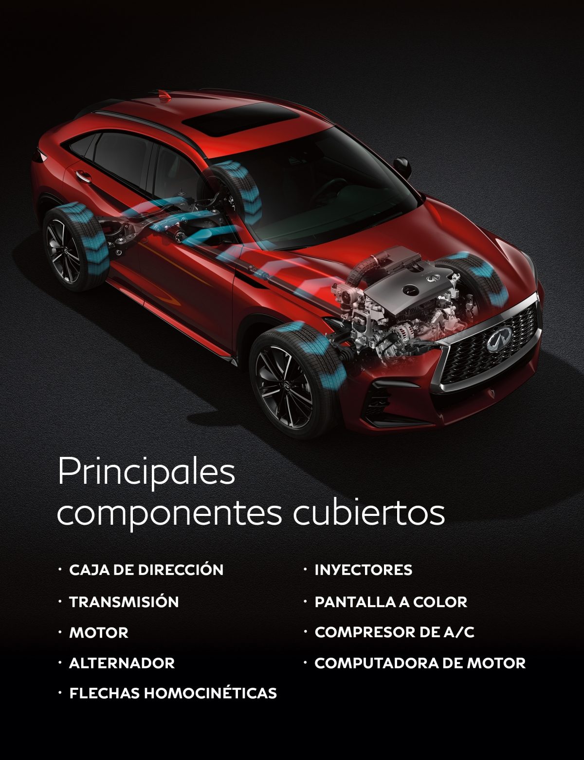 Cobertura garantizada infografia