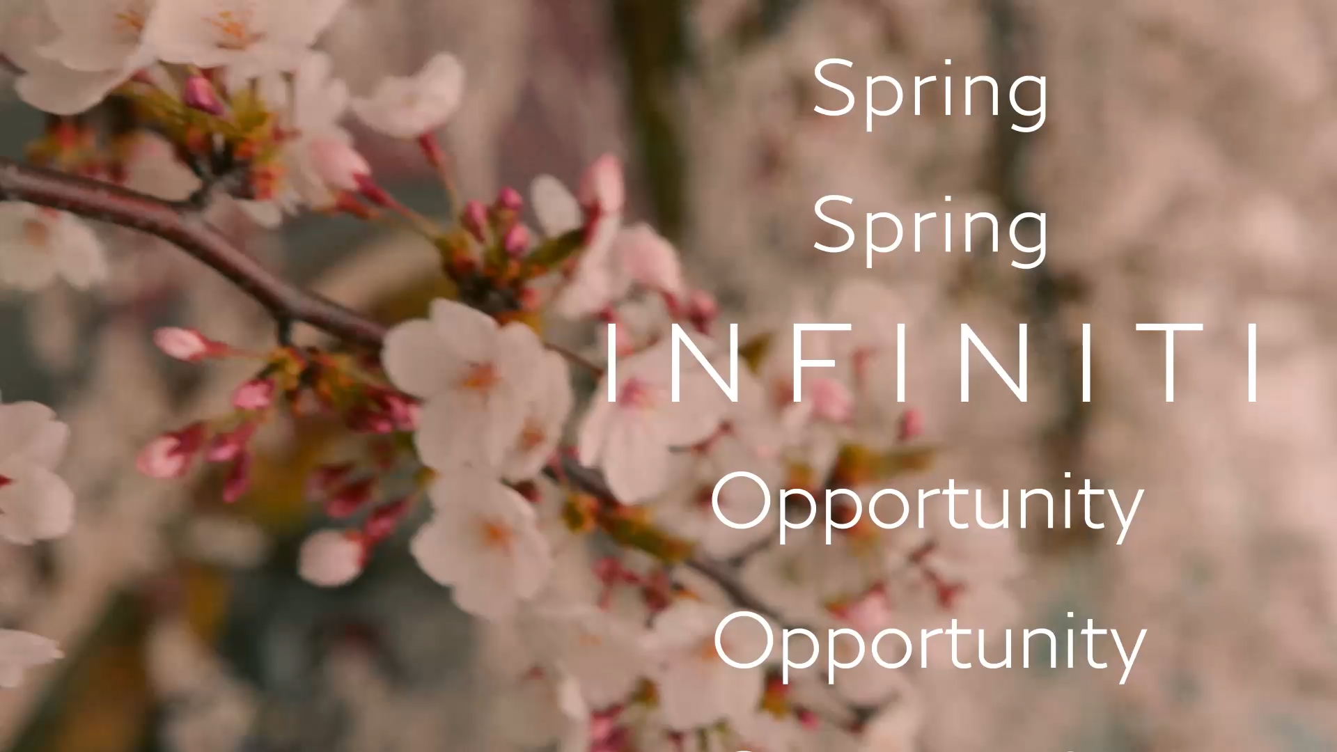 Spring Oportunity INFINITI QX60 