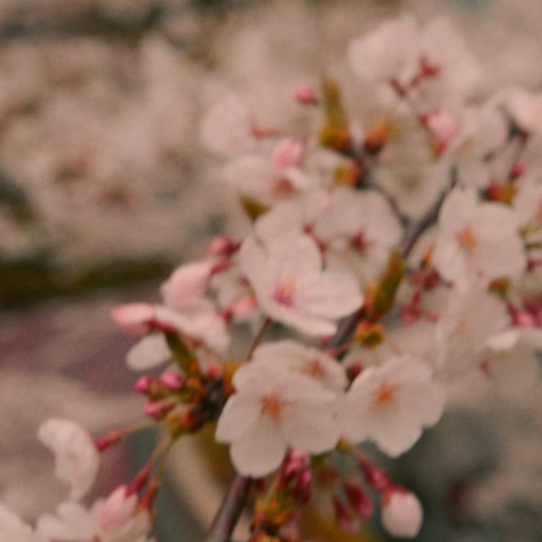 Angled view of the INFINITI QX60 7-seater SUV