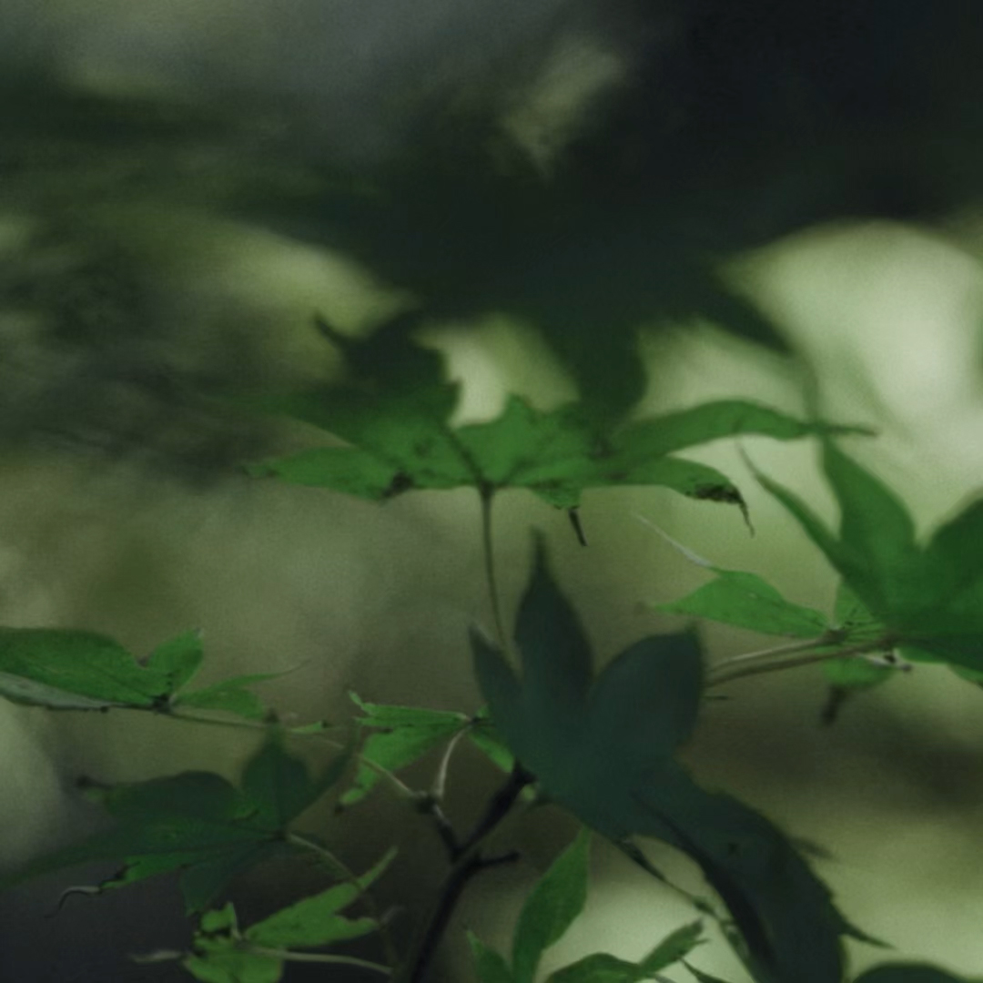 INFINITI QX80 Spring Opportunity